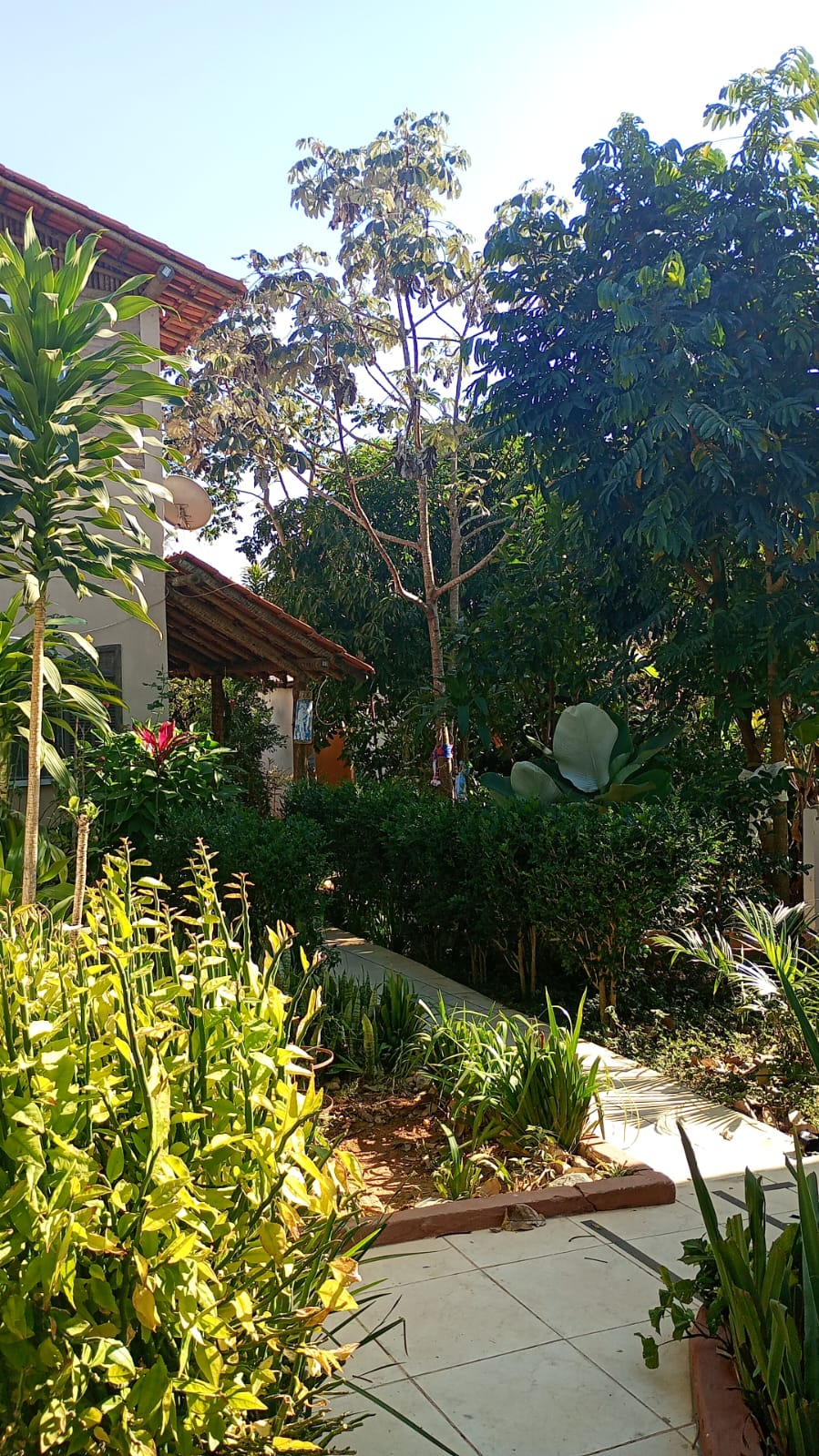 Memória da Roça Santo Antônio — foto 11