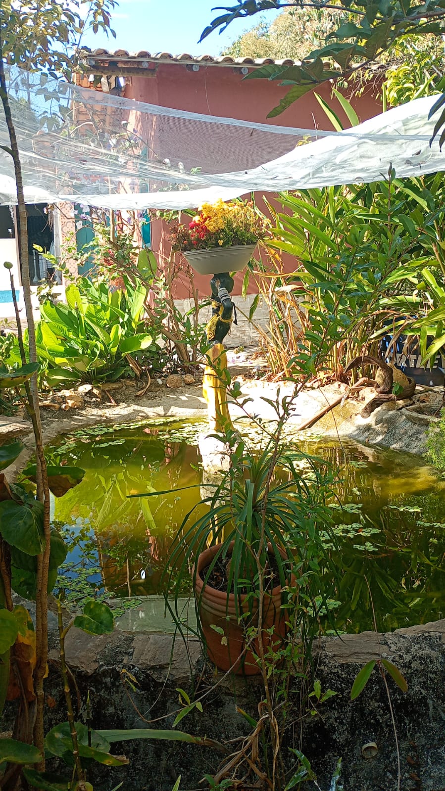 Memória da Roça Santo Antônio — foto 6
